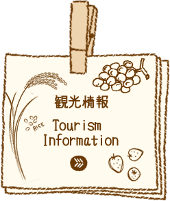 観光情報