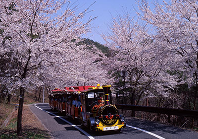 みかも山公園の写真