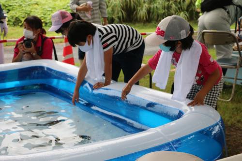 お魚とのふれあい体験の様子