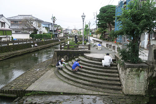 横山郷土館前の草むしり