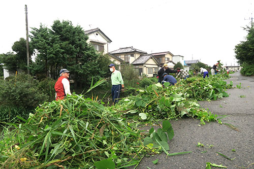 夏の間に茂った大量の草を刈りはらいました