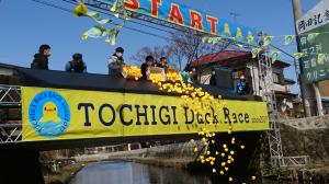 橋から黄色のアヒルのおもちゃを川へ投げる市長