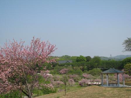 体験交流館からの眺望