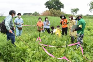 植物観察会の様子