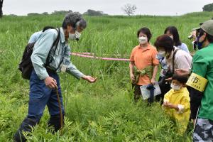 植物観察会の様子2