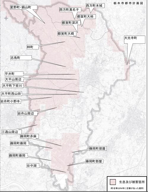 主な目撃情報令和4年度