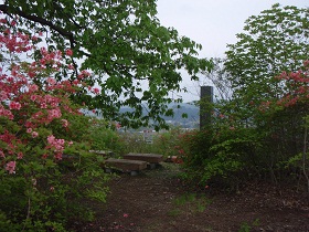 皆川城址公園の画像1