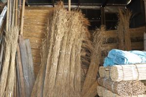 茅葺き屋根用のヨシ