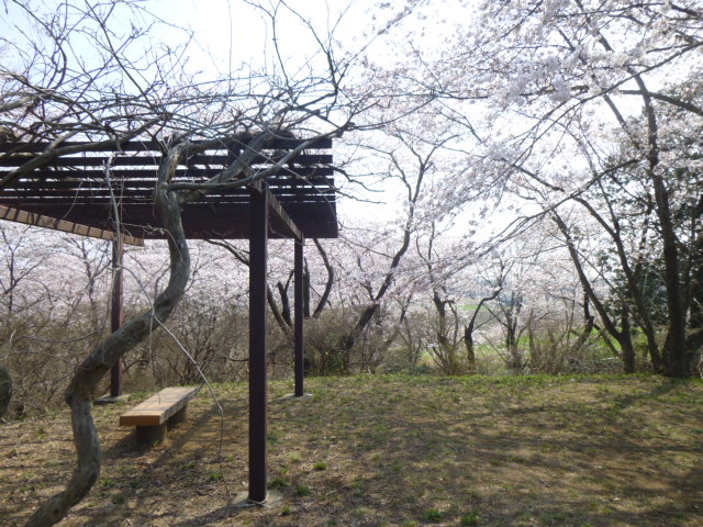 小山公園の画像2