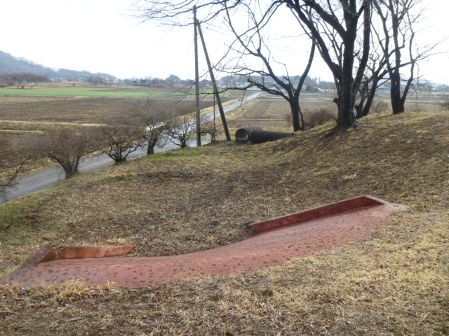 小山公園の画像4