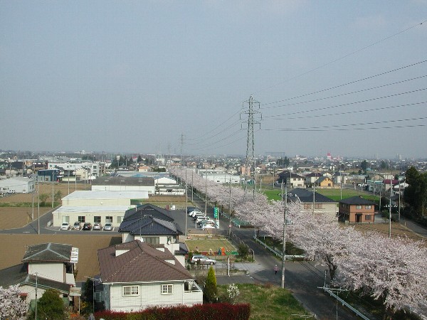 新井1