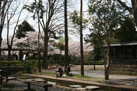 第二公園の画像3