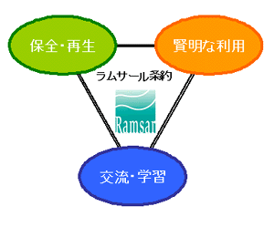 ラムサール理念図