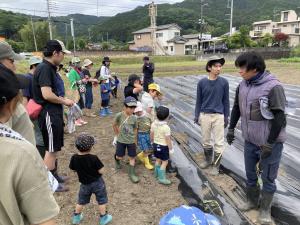 田植え２