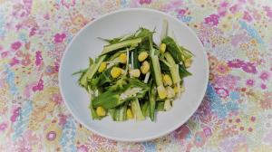 オクラと水菜の和風サラダ