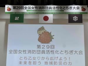 正面