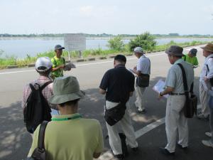 渡良瀬遊水地ガイドの様子