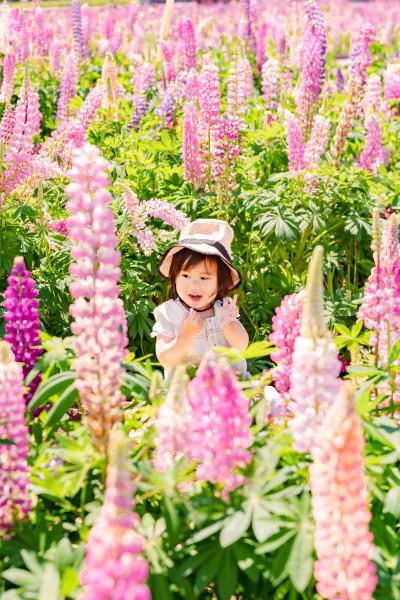 花やか２