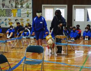 盲導犬体験学習の様子2