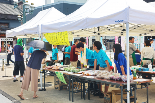 合同文化祭