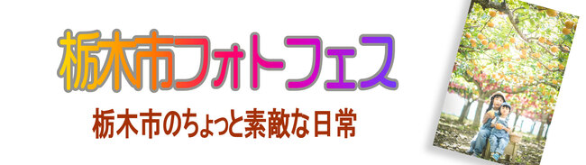 フォトフェス