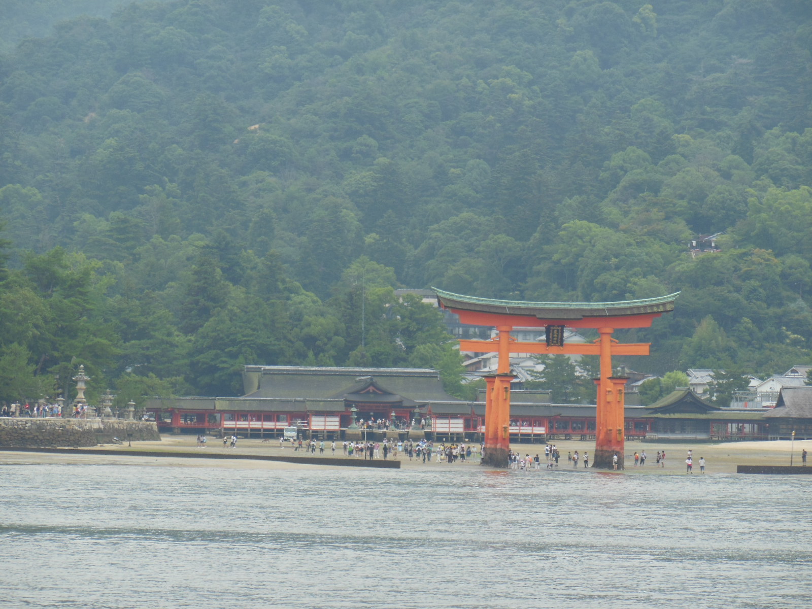 平成26年宮島の画像