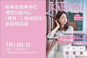 チラシ