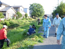 巴波川一斉清掃の画像