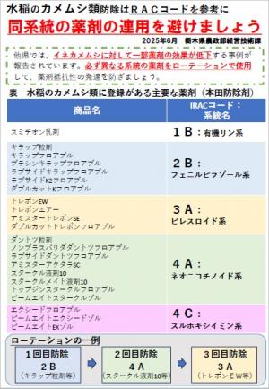 水稲のカメムシ類防除は同系統の薬剤の連用を避けましょう