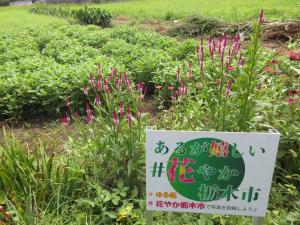 看板