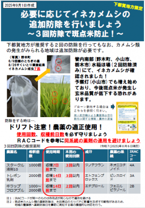 必要に応じてイネカメムシの追加防除を行いましょう