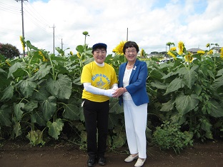 野木ひまわりの画像