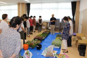 寄せ植え２
