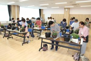 寄せ植え４