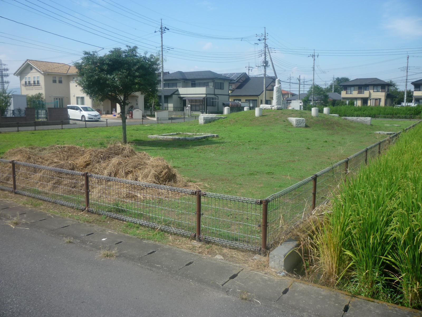 平柳北部第