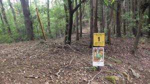 レスキューポイント１