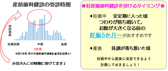 妊婦５