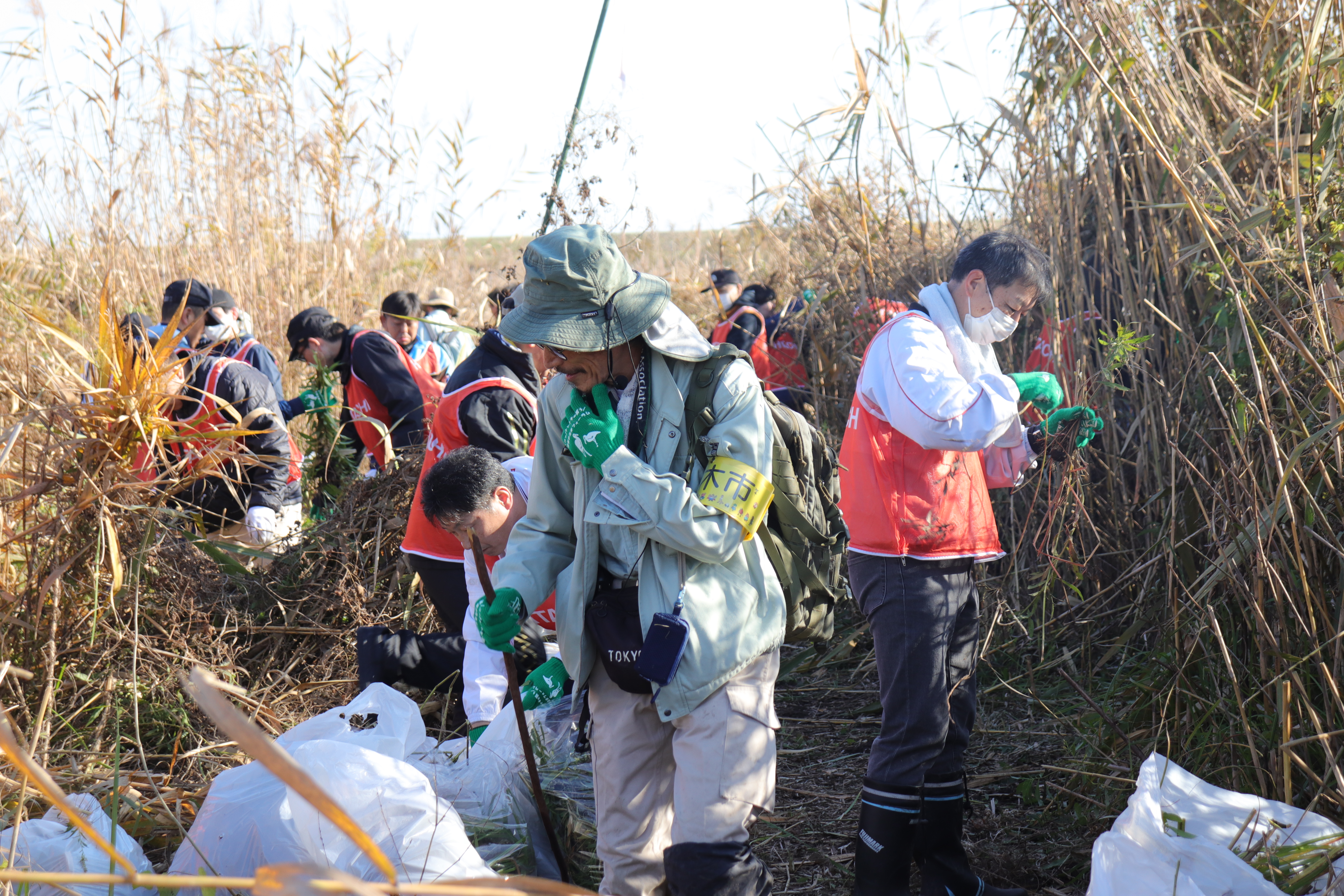 外来植物除去活動作業写真④