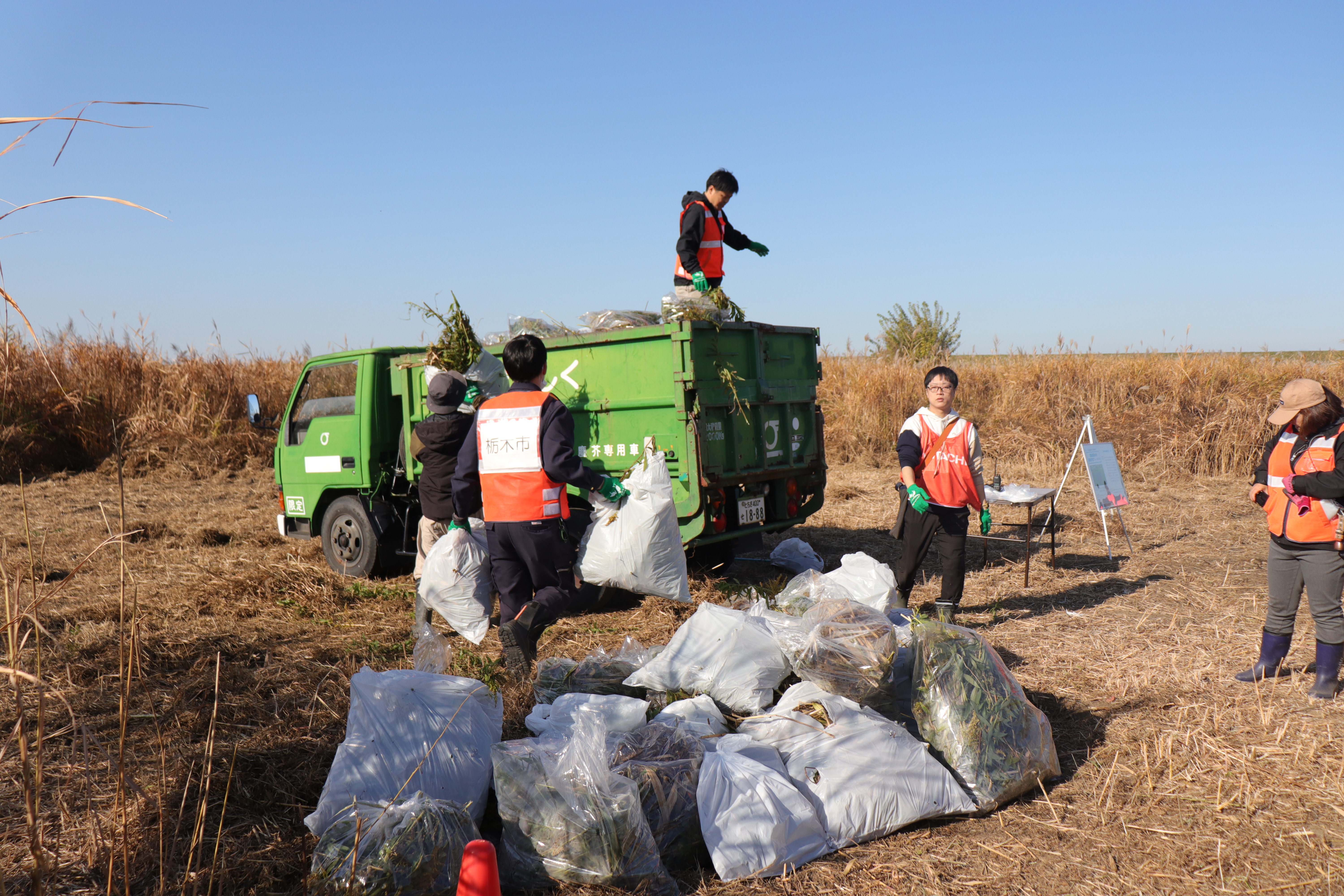 外来植物除去活動作業写真⑧
