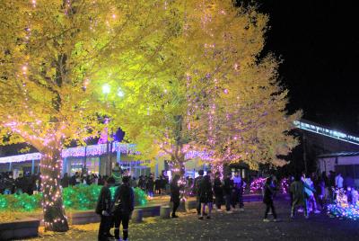 光と音のページェント2025