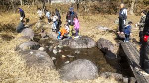 ホタルの幼虫放流