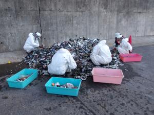 探している写真