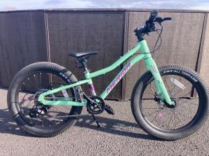 マウンテンバイク