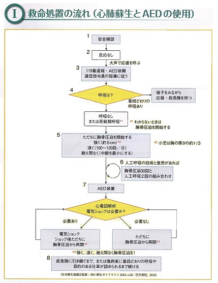 救命処置の流れの画像