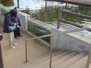 大人の社会科見学の様子