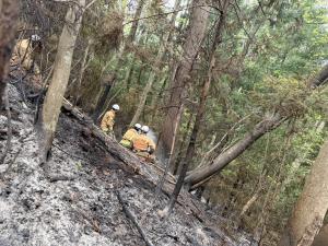 放水栃木消防、小山消防