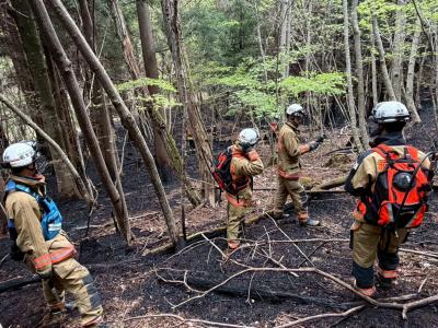 山中の残火処理