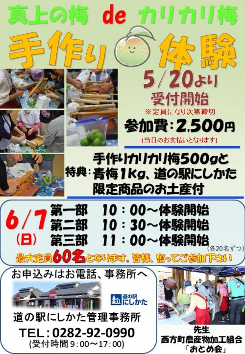 カリカリ梅手作り体験