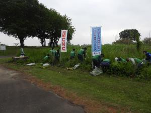 外来植物除去活動写真③