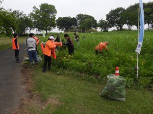 外来植物除去活動写真⑦